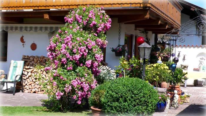 Regina Apartment Garmisch-Partenkirchen Ngoại thất bức ảnh